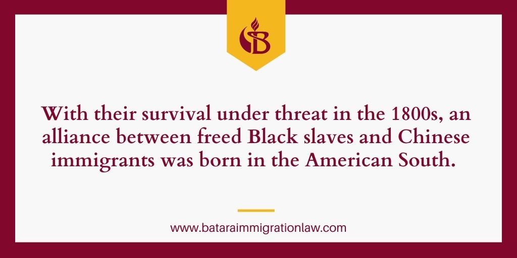 freed-Black-slaves-chinese-immigrants-alliance